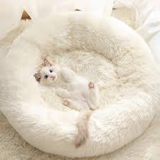 Pet Cat Bed